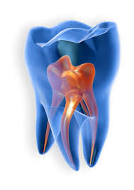 Full Mouth X-Ray (OPG) - Accurate Dental Diagnosis