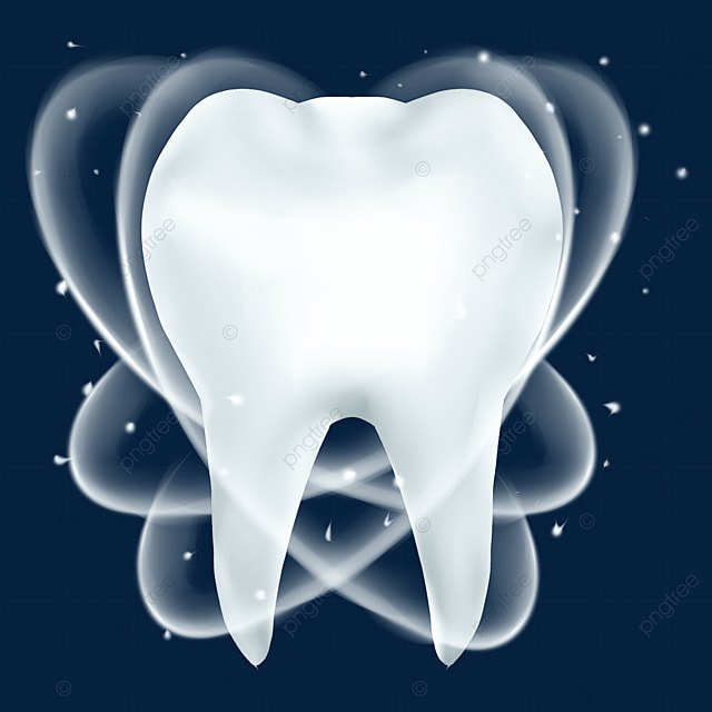 Full Mouth X-Ray (OPG) - Accurate Dental Diagnosis